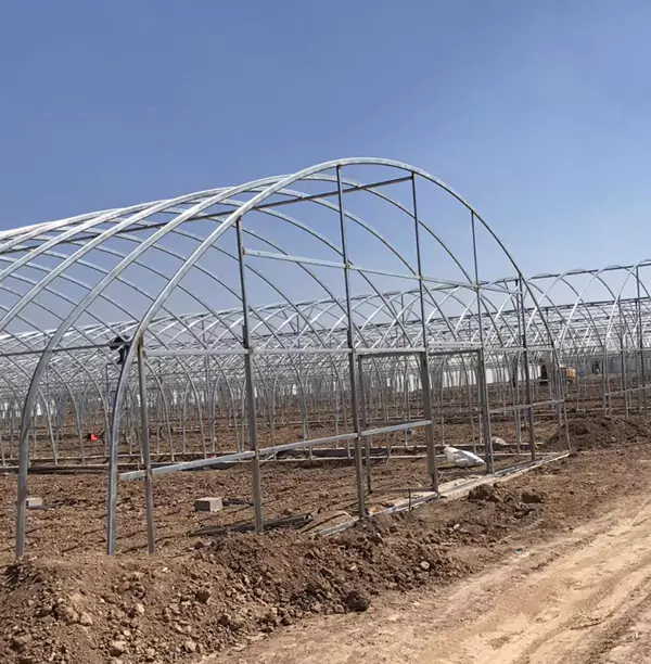 ท่อเรือนกระจก